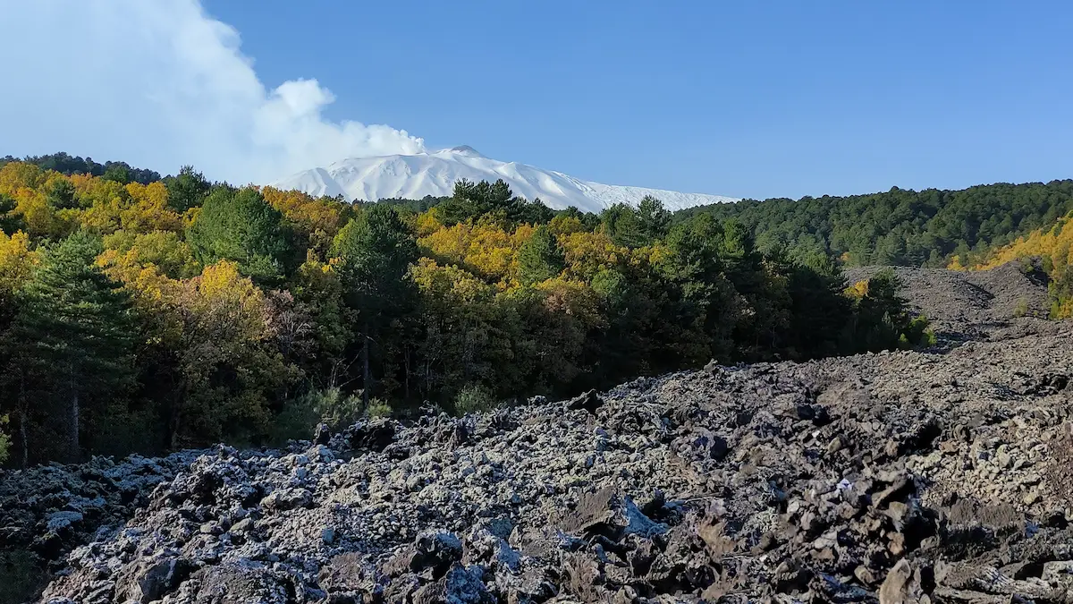 Versante Nord dell'Etna e colate laviche