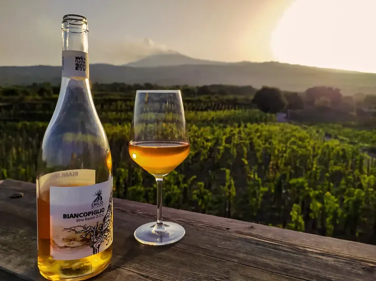 Etna Wine